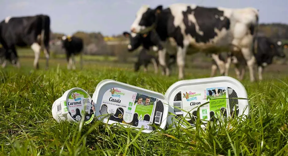 Glace paysanne Bio de la Ferme Saint Yves