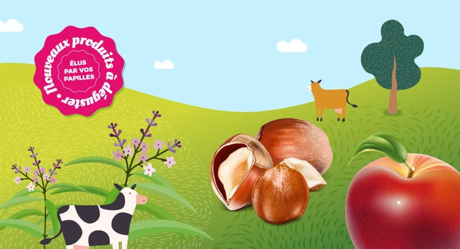 De nouvelles glaces pour rafraîchir vos papilles