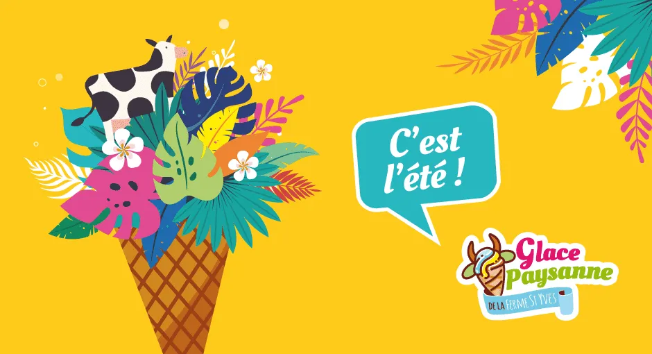 Nouvelles rafraîchissantes et nouveautés givrées