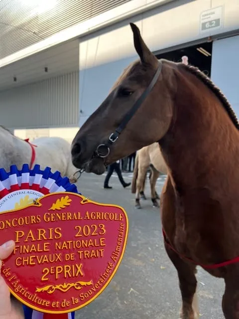 Katia de l'Epinay, 2e prix au concours agricole Paris 2023