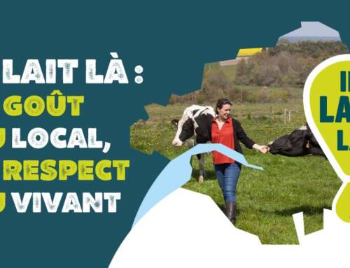 Il Lait Là : savourez l’agriculture biologique de proximité