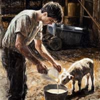 Yoann Louët de la Ferme Saint-Yves Yoann Louët de la Ferme Saint-Yves