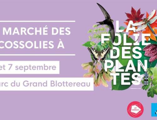 Ecossolies : Mathilde régale Nantes avec ses glaces paysannes