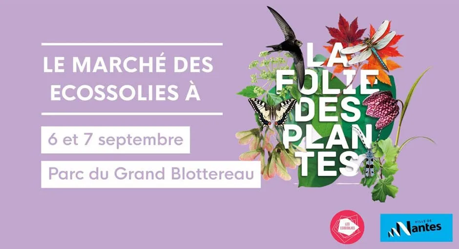 Ecossolies : Mathilde régale Nantes avec ses glaces paysannes