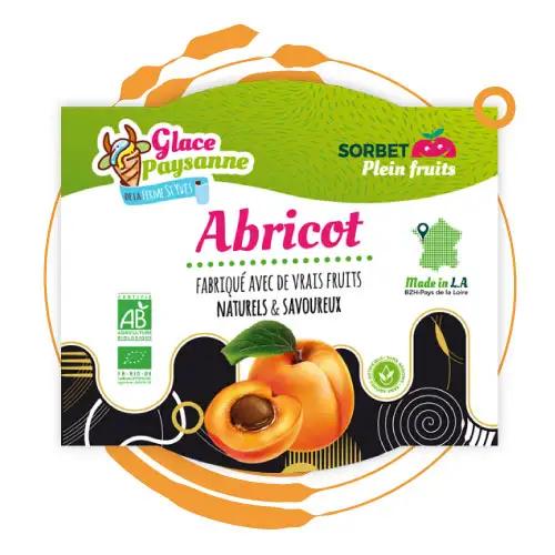 sorbet plein fruits abricot fabriqué en bretagne