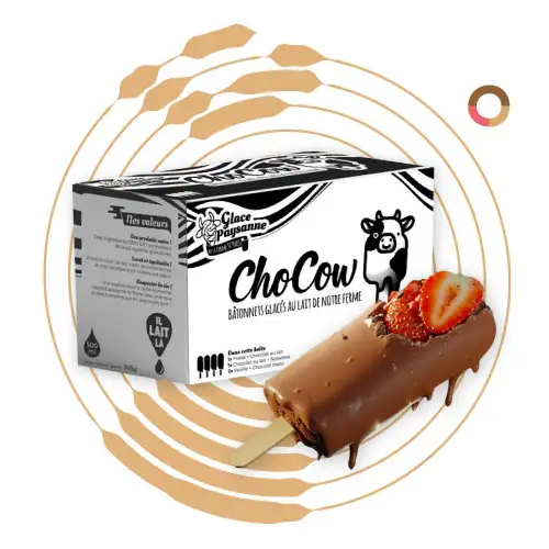 Bâtonnets ChoCow