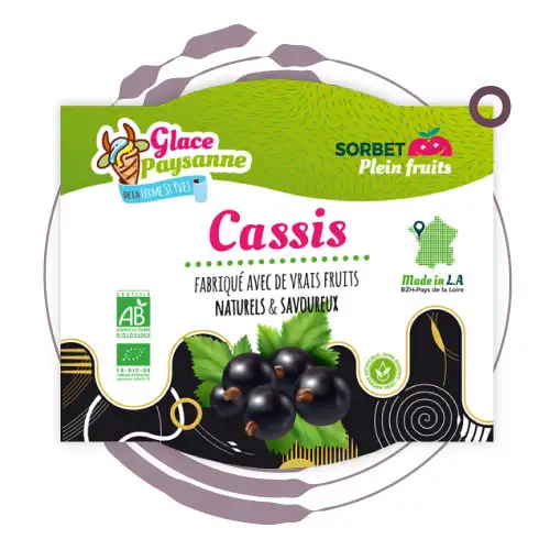 sorbet bio cassis ferme saint-yves