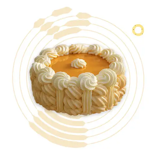 vacherin vanille caramel maison bio fabriqué à Avessac