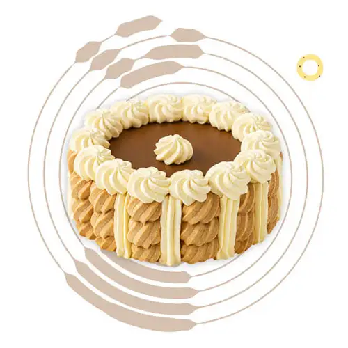 Vacherin vanille chocolat maison bio fabriqué en bretagne